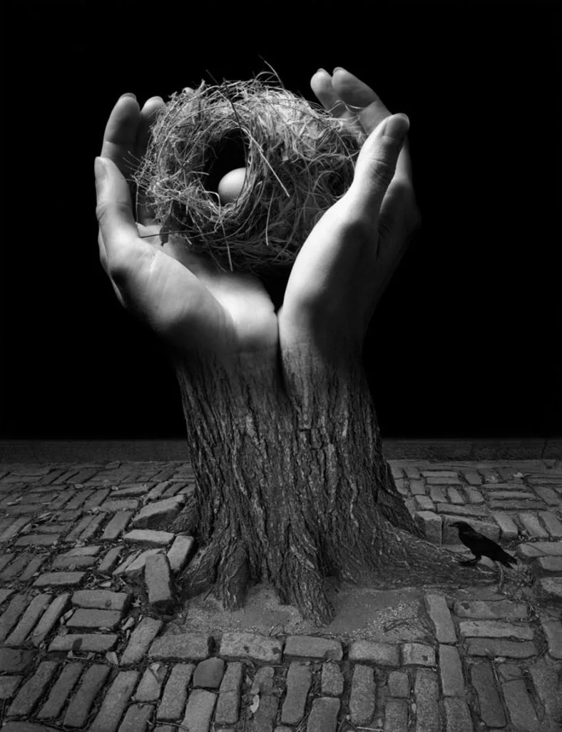 HOF Inductee Jerry Uelsmann — International Photography Hall of